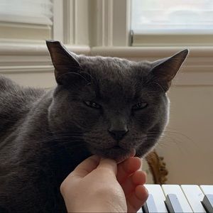 Meet your Posher, Kate